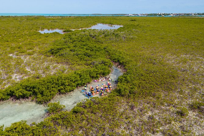 2 Hours Clear Kayaking Activity on Mangrove Cay - Key points to know before booking