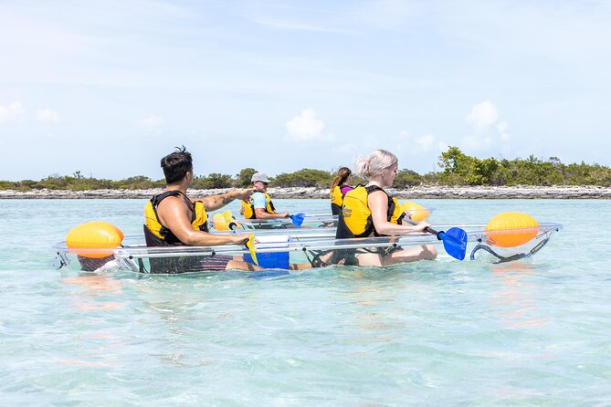 2 Hours Clear Kayaking Activity on Mangrove Cay - Paddling into Mangrove Cay