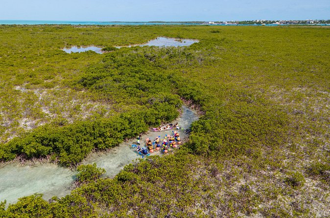 2 Hours Clear Kayaking Activity on Mangrove Cay - How rough can the water be?