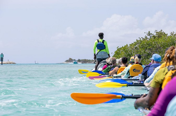 2 Hours Clear Kayaking Activity on Mangrove Cay - Kayak condition and group size