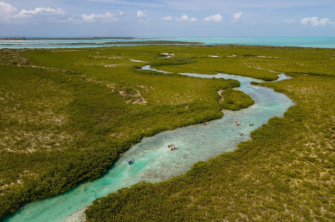 2 Hours Clear Kayaking Activity on Mangrove Cay - The unusual jetski tow
