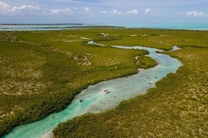 2 Hours Clear Kayaking Activity on Mangrove Cay - What the two-hour schedule feels like