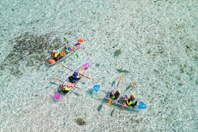 3HR Clear Kayak Mangrove and iguana island Tour in Leeward - At a Glance: What Makes This Tour Different