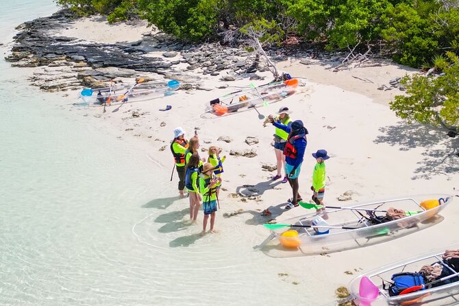 3HR Clear Kayak Mangrove and iguana island Tour in Leeward - How Much Kayaking Will You Actually Do?