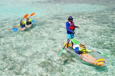 3HR Clear Kayak Mangrove and iguana island Tour in Leeward
