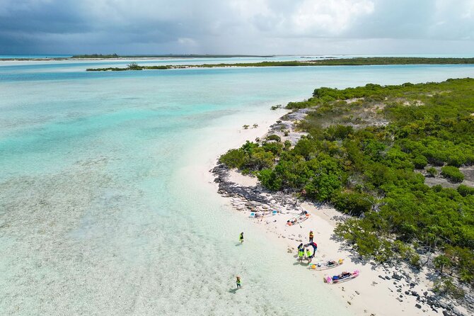 3HR Clear Kayak Mangrove and iguana island Tour in Leeward - Tide, Wind, and Weather Are Not Minor Details