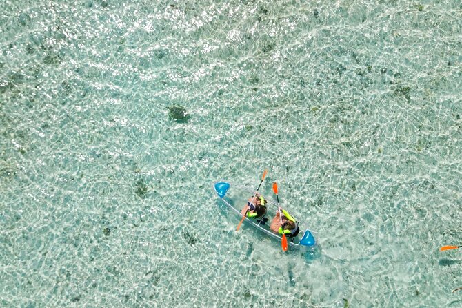 3HR Clear Kayak Mangrove and iguana island Tour in Leeward - Who Will Enjoy This Most?