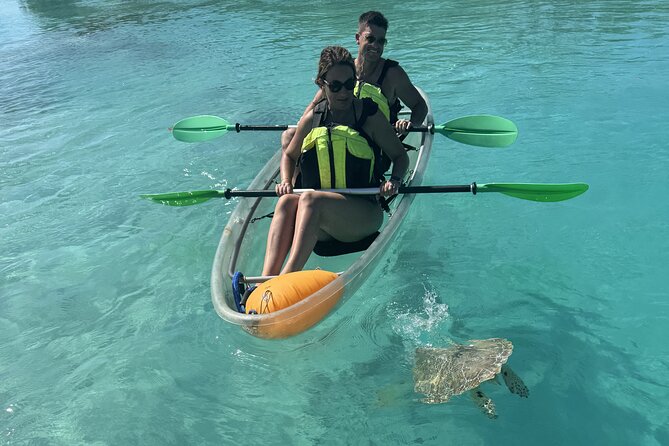 3hr Clear Kayak Tour of Mangroves, Marine Life and Iguanas - What the three hours really mean