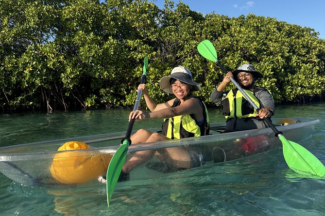3hr Clear Kayak Tour of Mangroves, Marine Life and Iguanas - Wildlife sightings are the reason to book