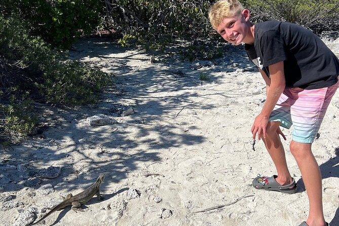 3hr Clear Kayak Tour of Mangroves, Marine Life and Iguanas - Who will get the most from this tour