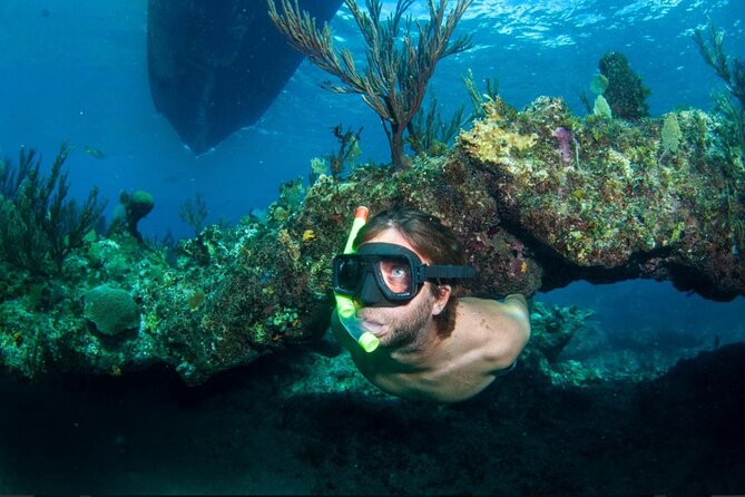 3HR Emerald reef snorkeling, iguana island and shipwreck tour - Key points to know before you book