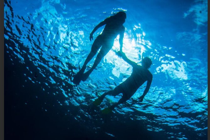 3HR Emerald reef snorkeling, iguana island and shipwreck tour - Why this three-hour trip works so well
