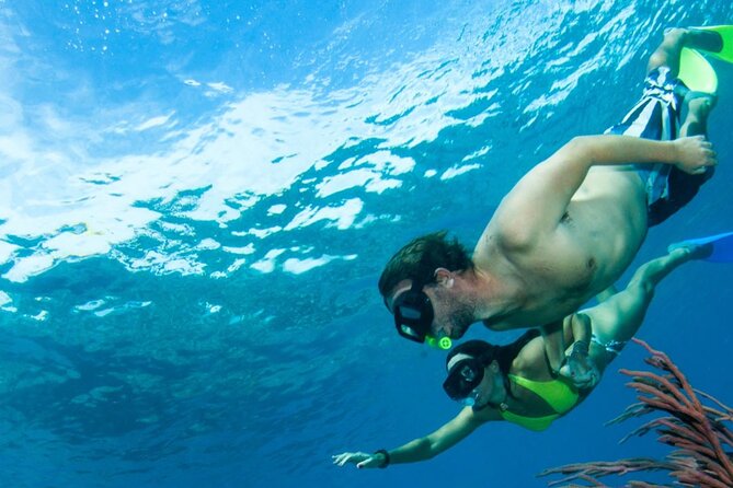 3HR Emerald reef snorkeling, iguana island and shipwreck tour - Who should book this boat tour?