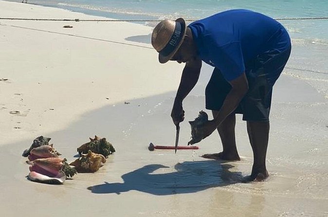 3hr Seaside Scavenger hunt - What the crew adds to the experience