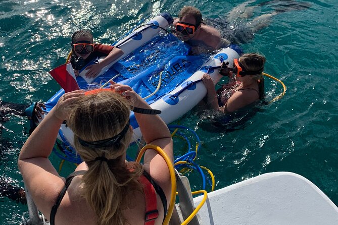 3HR Snuba, shipwreck and Iguana island tour - Key points to know before booking