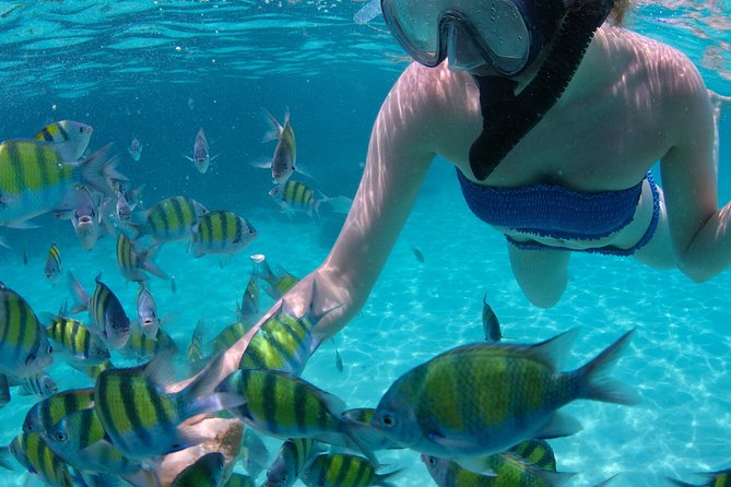 4-Hour Catamaran Sail and Snorkel Tour from Grace Bay - Little Water Cay and the optional iguana reserve