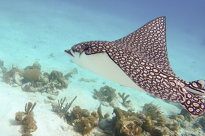 4 Hour Private Catamaran Sail and Snorkel from Grace Bay Beach, Providenciales - Weather, Comfort, and Small Tradeoffs