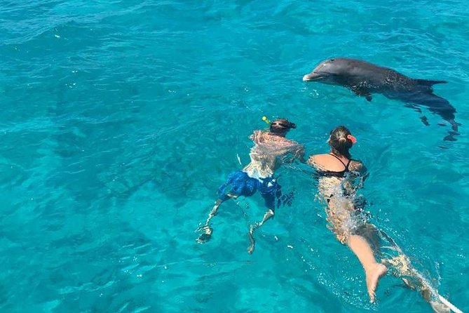 4 Hour Private Catamaran Sail and Snorkel from Grace Bay Beach, Providenciales - Who Gets the Most From This Charter