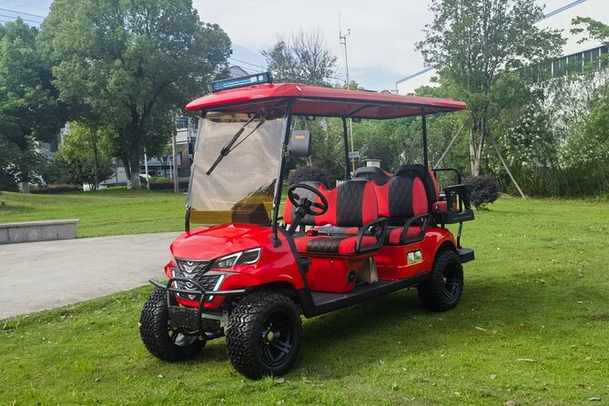 4 Seater Luxury Golf Carts Rental in Grand Turk - Who will enjoy this rental most