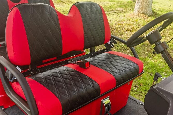 4 Seater Luxury Golf Carts Rental in Grand Turk - What you get for $220