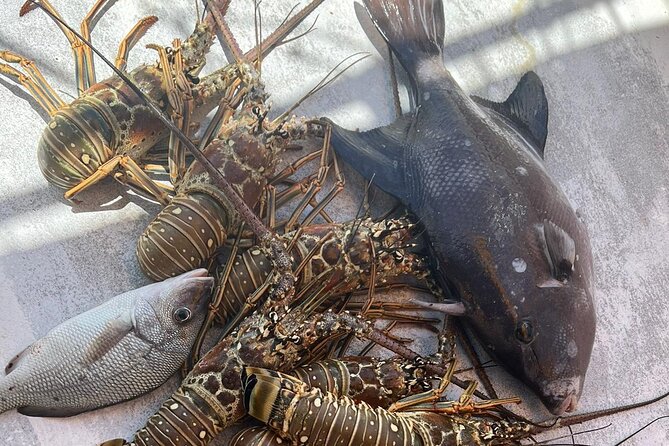 4HR-Halfday Private Fishing Tour in Gracebay - Drinks, snacks, music, and the onboard mood