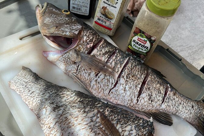 4HR-Halfday Private Fishing Tour in Gracebay - The value of $1,680 for a private group