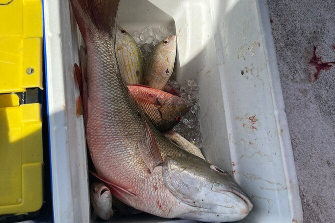 4HR-Halfday Private Fishing Tour in Gracebay - Pickup, meeting details, and physical demands