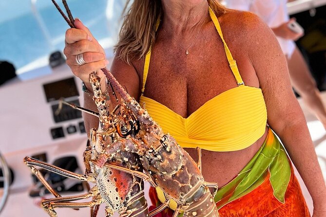 4HR-Private Half-Day Exploration in Gracebay - The guides shape the day