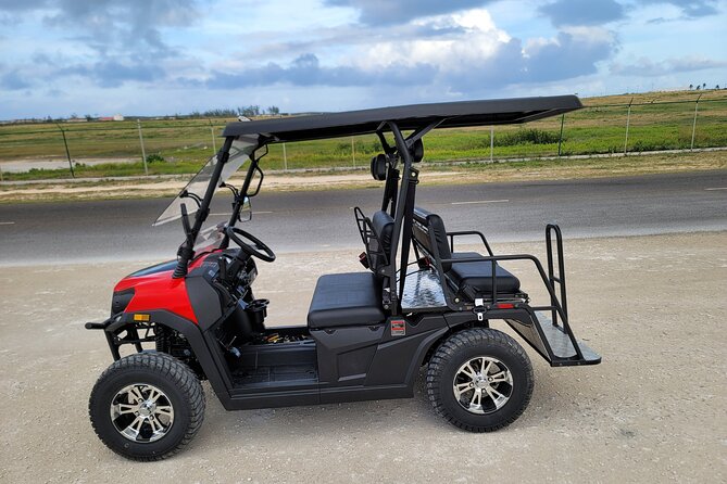 4Seater UTV Golf Cart in Grand Turk - Who should book this rental