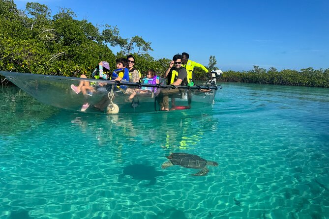 6-Passenger Motorized Clear Kayak Mangrove Tour in Providenciales - Key points to know before booking