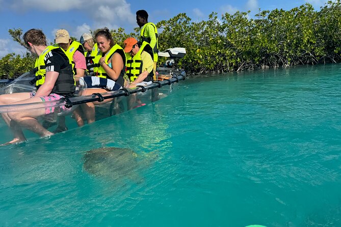6-Passenger Motorized Clear Kayak Mangrove Tour in Providenciales - A glass-bottom kayak without the paddle