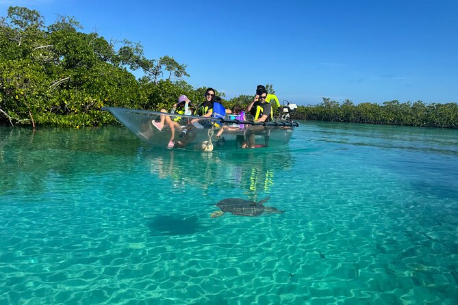 6-Passenger Motorized Clear Kayak Mangrove Tour in Providenciales - Meeting at Clear Wave Tours in Mangrove Cay