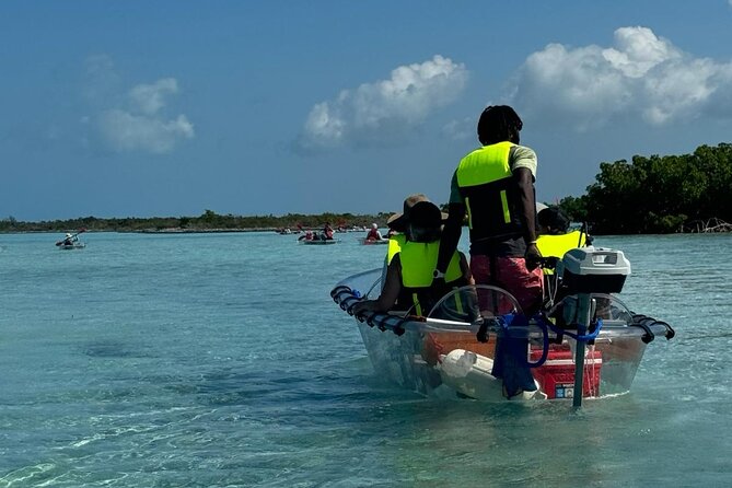 6-Passenger Motorized Clear Kayak Mangrove Tour in Providenciales - Weather, comfort, and what to bring