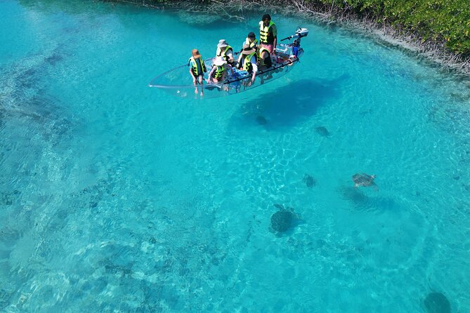 6-Passenger Motorized Clear Kayak Mangrove Tour in Providenciales - How the experience compares with a regular boat ride