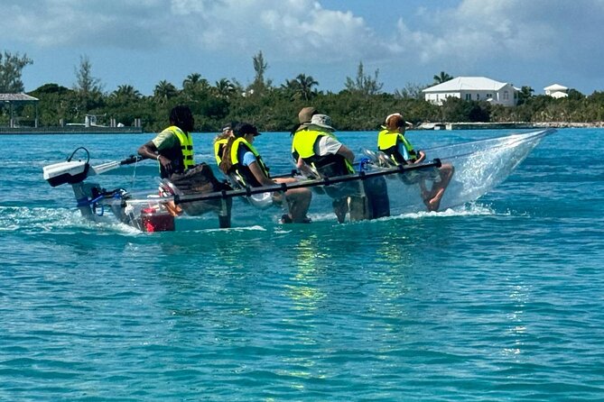 6-Passenger Motorized Clear Kayak Mangrove Tour in Providenciales - What you might see below the clear hull