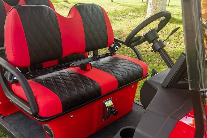 6 Seater Luxury Golf Carts Rental in Grand Turk - Who should choose this rental