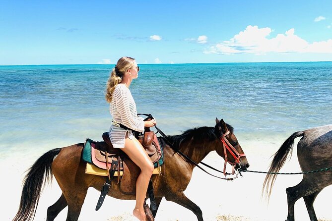 60-Minute Private Horseback Riding Experience in Turks and Caicos - Key Details Before You Book