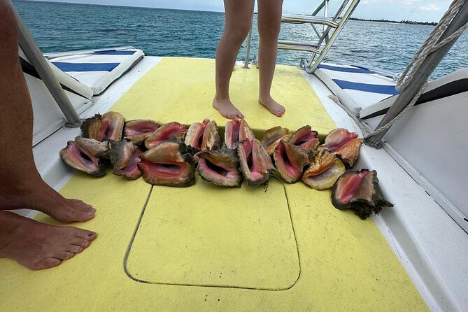 6HR-Provo Cays exploration with Lunch in Gracebay - Conch hunting and fresh ceviche