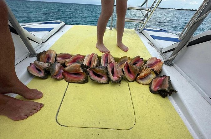 6HR-Provo Cays exploration with Lunch in Gracebay - The beach barbecue is more than a snack