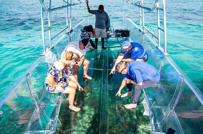 75 Minutes Clear Boat Tour in Caicos Island - What you may see beneath the boat
