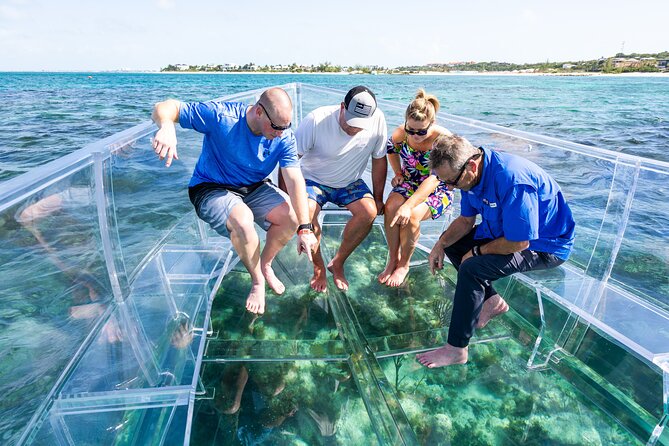 75 Minutes Clear Boat Tour in Caicos Island - Why the 100% clear hull matters