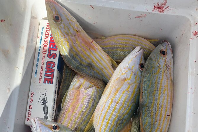 8HR Catch and Grill in Turks and Caicos Islands - Snorkeling with the equipment already aboard
