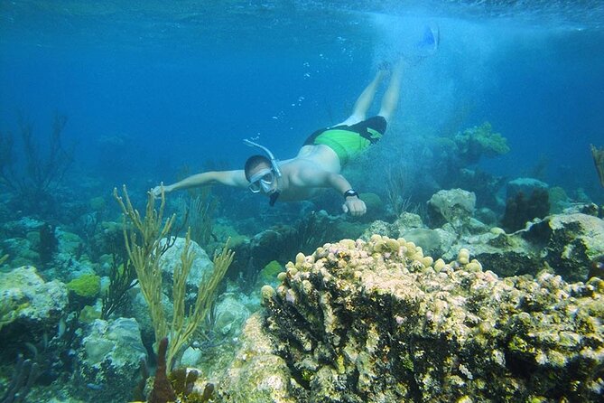 8HR Fullday Private Boat in Gracebay - The La Famille shipwreck near Long Bay Beach