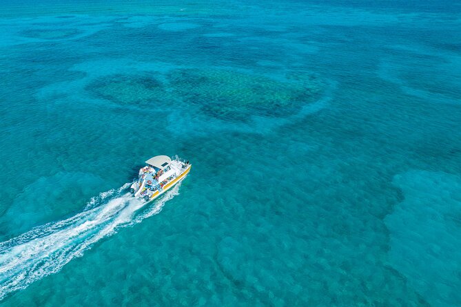Afternoon Half Day Cruise from Providenciales with Snorkeling and Iguana Island - Quick take: what matters most