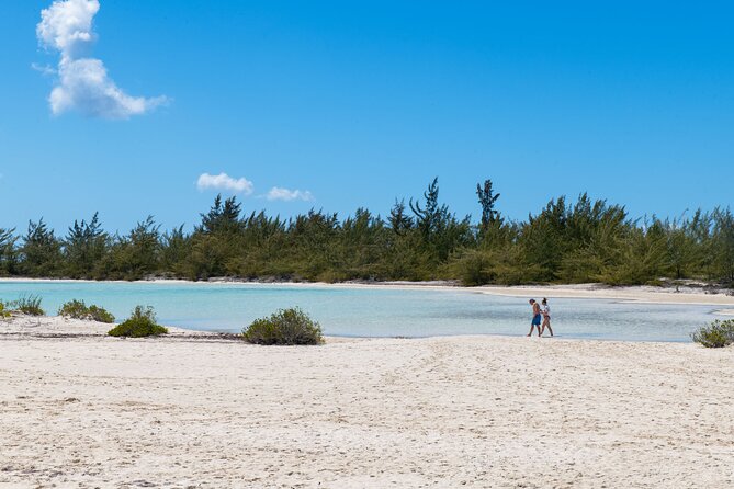Afternoon Half Day Cruise from Providenciales with Snorkeling and Iguana Island - Lunch, rum punch, and the practical food question