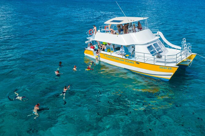 Afternoon Half Day Cruise from Providenciales with Snorkeling and Iguana Island - Crew style and what the group size means