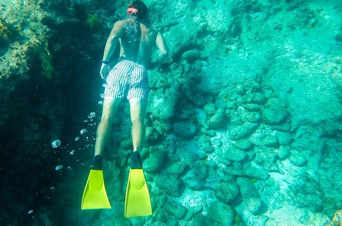 All Day Adventure with a Beach BBQ Feast from Providenciales - Is $225 a fair price?