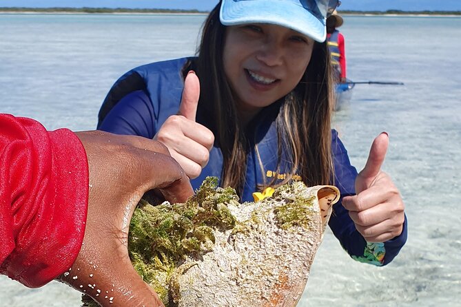 Clear Bottom Kayaks Mangrove Tour - Why the guides matter so much