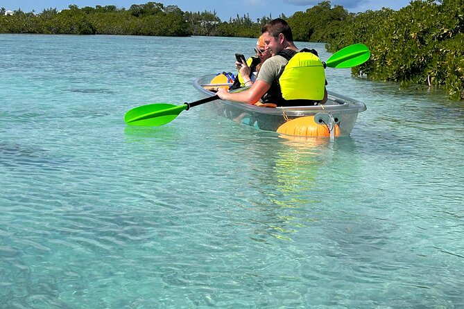 Clear Kayak Eco Tour Explore Mangroves and Meet the Turtles - Equipment: the practical trade-off