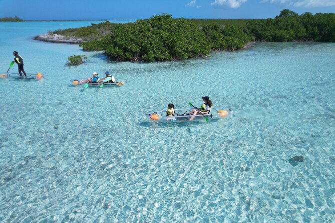 Clear Kayak Eco Tour Explore Mangroves and Meet the Turtles - Is $112 a fair price?